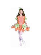 Child's Pumpkin Princess Costume by Masquerade