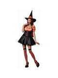 Adult Wicked Witch Costume by Masquerade