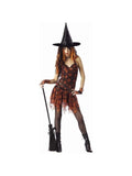 Women's Sexy Orange Spider Witch Halloween Costume (Junior Sizes) by Masquerade