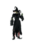 Adult Tattered Witch Costume by Masquerade