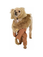 Cowardly Lion Dog Costume by Masquerade