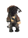 Pirate King Dog Costume by Masquerade
