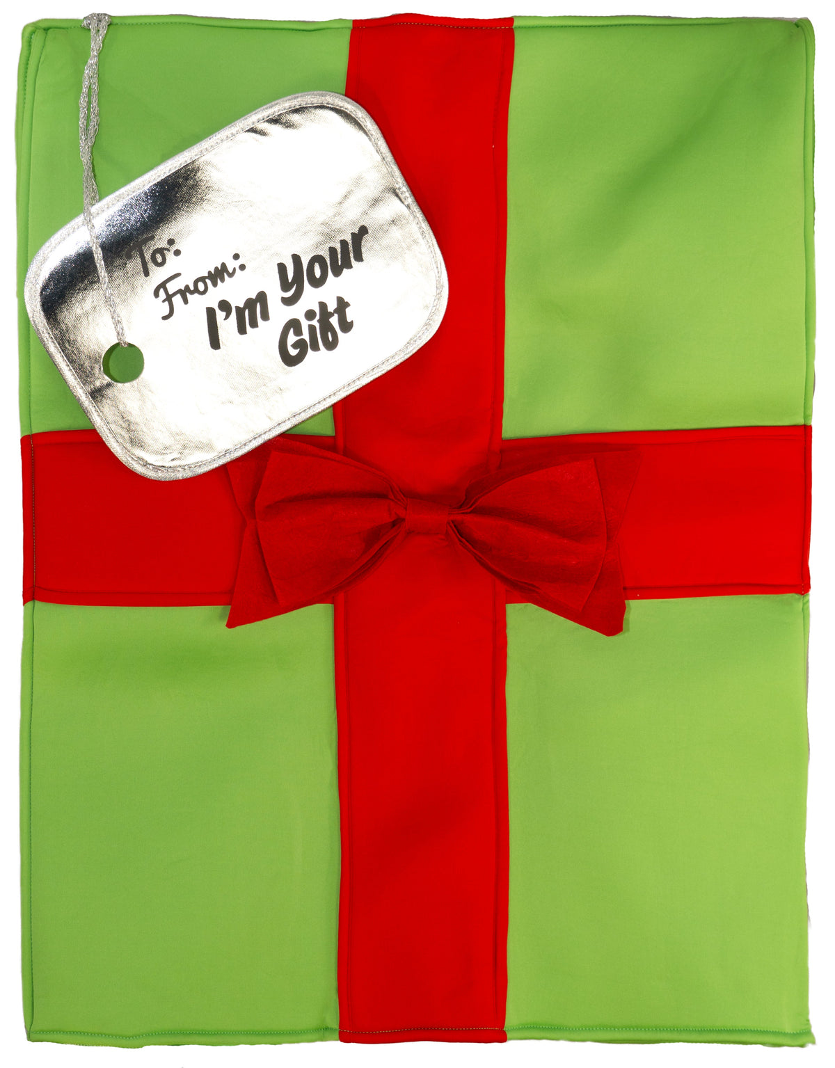 Adult Standard Gift Box Costume by Masquerade