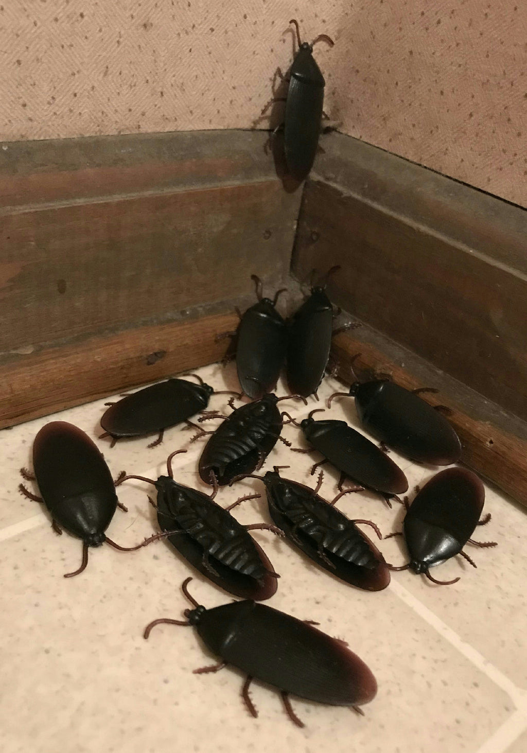 12 Fake Cockroaches Realistic Rubber Roach Gag Joke Prank by HalloweenStore.com