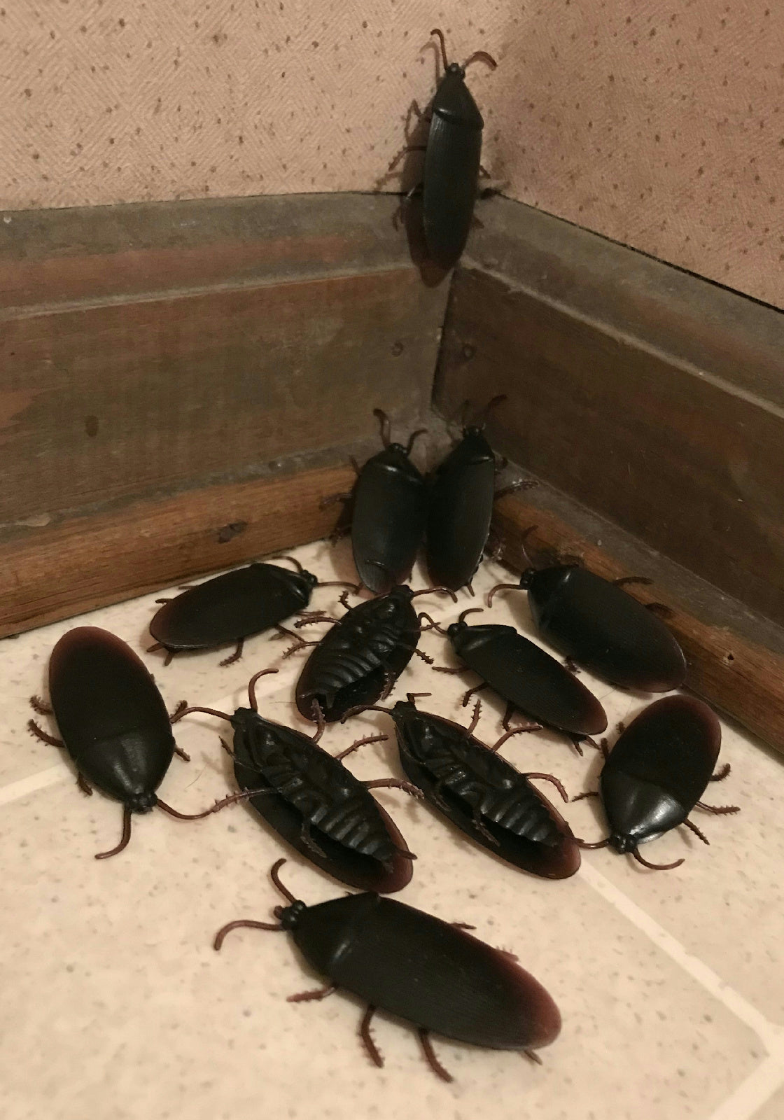 12 Fake Cockroaches Realistic Rubber Roach Gag Joke Prank by HalloweenStore.com