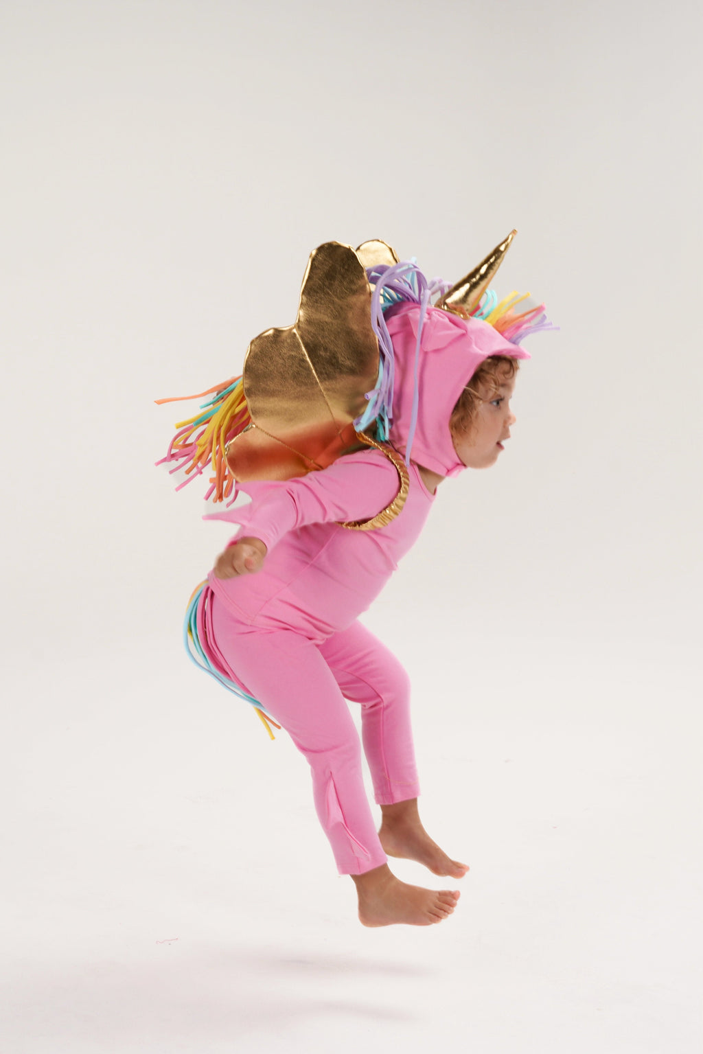 Pink Pegasus Halloween Costume by Band of the Wild