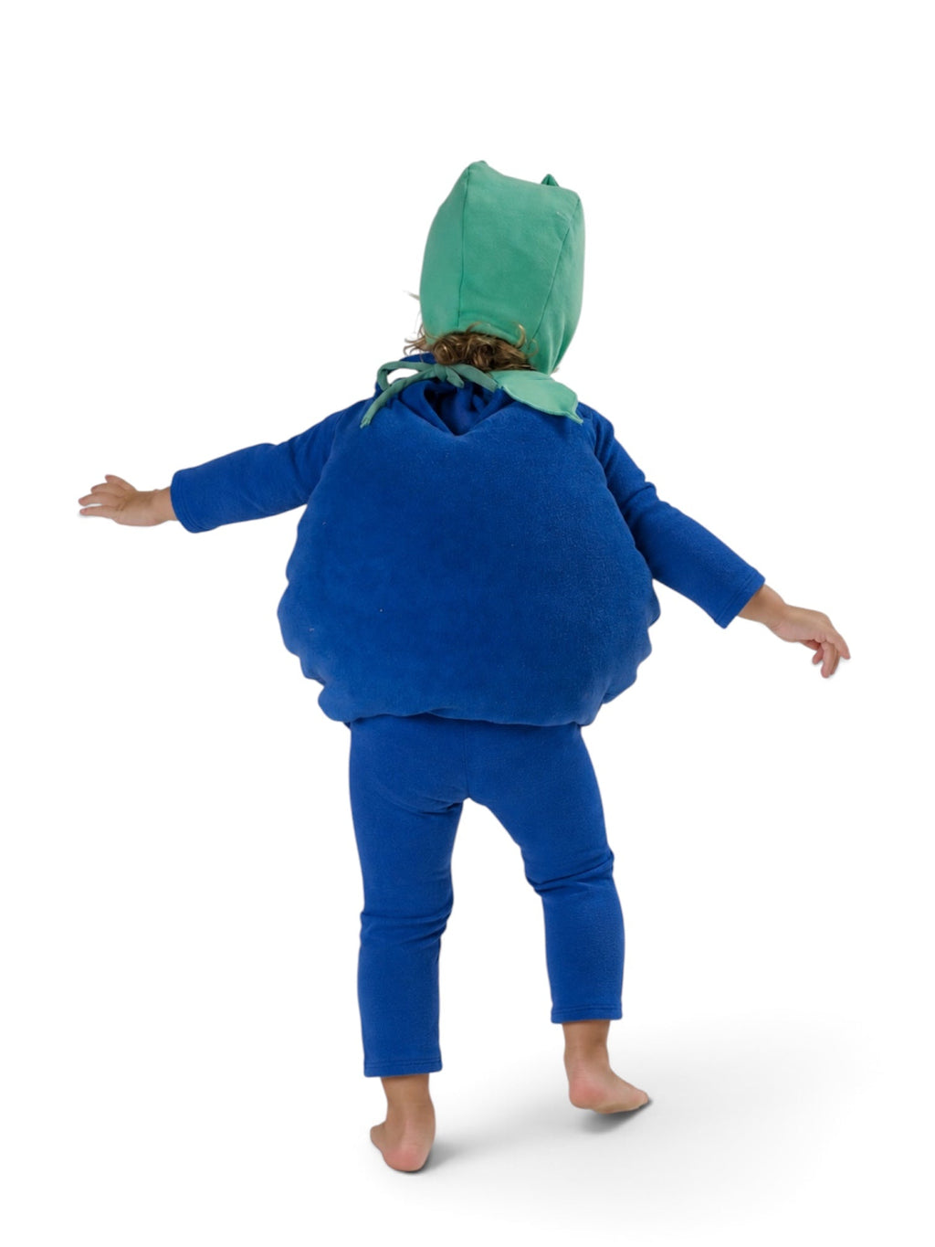 Baby Blueberry Halloween Costume by Band of the Wild