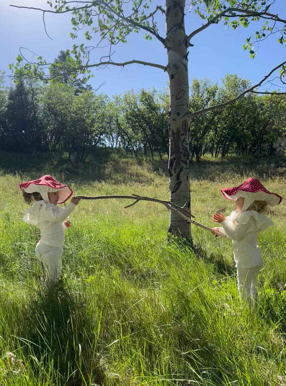 Mushroom Costume - Toadstool Halloween Costume by Band of the Wild
