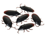 12 Fake Cockroaches Realistic Rubber Roach Gag Joke Prank by HalloweenStore.com