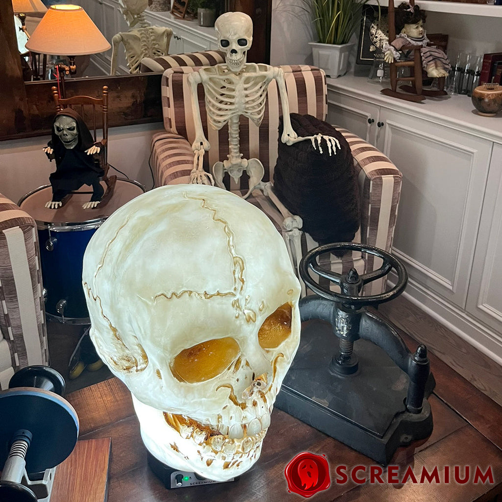 Giant Skull Animatronic Lamp Prop 20-Inch-Tall Heavy Duty Polyresin Halloween Decoration