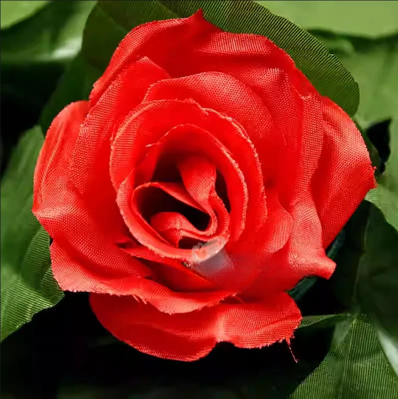 Flower Blooming Rose Bush Remote Control 10 Flowers Appearing Rose Magic Trick Illusion Wedding Valentine's Day Gift