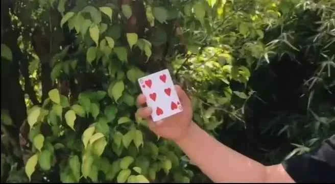 6 to 9 (Upgraded Version) Magic Tricks Amazing Magia Playing Card Magie Stage Close Up Mentalism Illusions Gimmick Props Magica