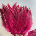 Natural Rooster Craft Feathers Bulk Pack