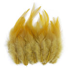 Natural Pheasant & Chicken Craft Feathers Bulk Lot