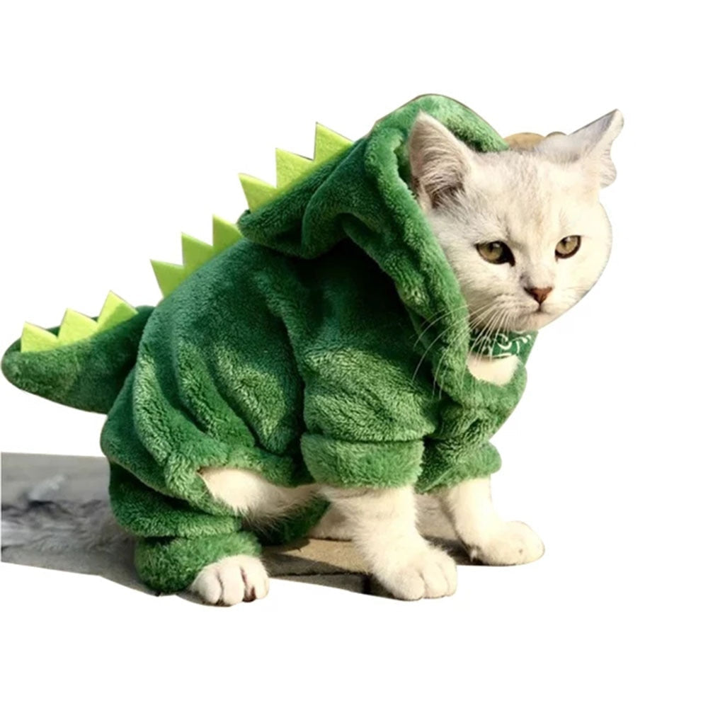 Funny Dinosaur Costume for Pets