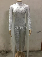 Silver Red Rhinestone Fringe Jumpsuit Stage Performance Outfit Dancer Catsuit