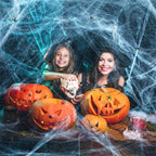 Artificial Spiderweb Halloween Decoration