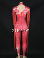 Silver Red Rhinestone Fringe Jumpsuit Stage Performance Outfit Dancer Catsuit