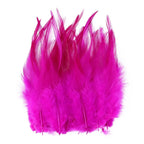 Natural Pheasant & Chicken Craft Feathers Bulk Lot