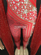 Silver Red Rhinestone Fringe Jumpsuit Stage Performance Outfit Dancer Catsuit