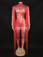 Silver Red Rhinestone Fringe Jumpsuit Stage Performance Outfit Dancer Catsuit