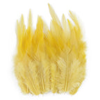 Natural Pheasant & Chicken Craft Feathers Bulk Lot