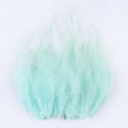 Natural Pheasant & Chicken Craft Feathers Bulk Lot