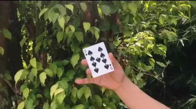 6 to 9 (Upgraded Version) Magic Tricks Amazing Magia Playing Card Magie Stage Close Up Mentalism Illusions Gimmick Props Magica