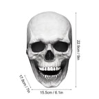 Full-Head Skull Mask with Movable Jaw