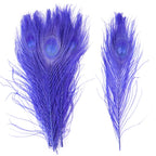 Premium Peacock Eye Feathers 10PC