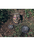 Partially Buried Skeleton Graveyard Prop by Masquerade