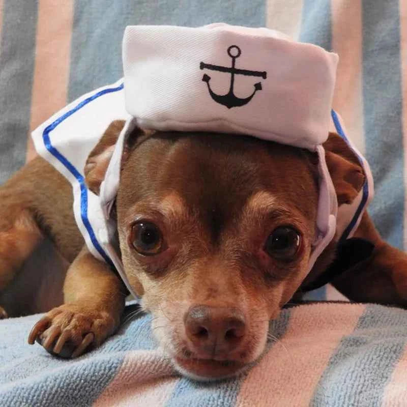 Funny Pet Cat Costumes Cat  Apparel Clothes For Halloween Christmas Cosplay Navy Sailor Costumes Jacket Cloak Dog Accessories