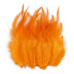 Natural Pheasant & Chicken Craft Feathers Bulk Lot