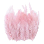 Natural Pheasant & Chicken Craft Feathers Bulk Lot