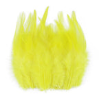 Natural Pheasant & Chicken Craft Feathers Bulk Lot