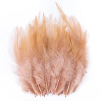 Natural Pheasant & Chicken Craft Feathers Bulk Lot