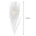 Premium Peacock Eye Feathers 10PC