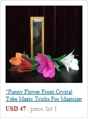 Divine and Conquer Magic Tricks Card Prediction Magia Magician Read Mind Close Up Street Illusions Gimmicks Mentalism Props
