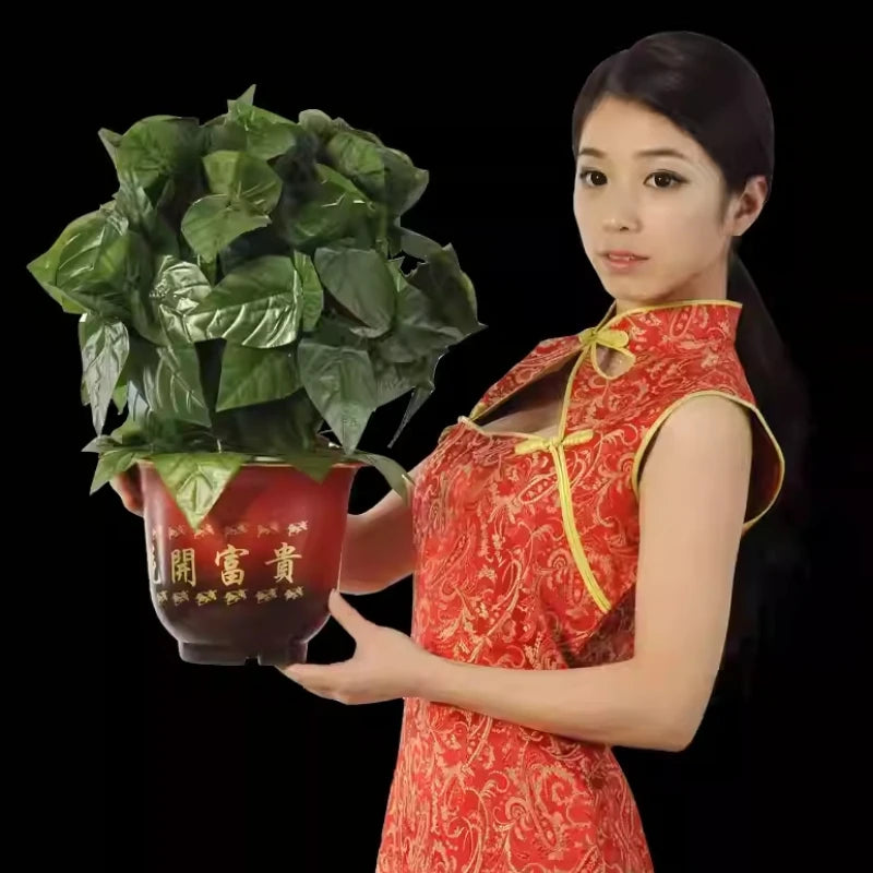 Flower Blooming Rose Bush Remote Control 10 Flowers Appearing Rose Magic Trick Illusion Wedding Valentine's Day Gift