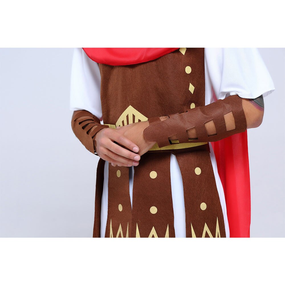 Men's Greek and Roman Warrior Costume