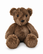Teddy Bear by Band of the Wild