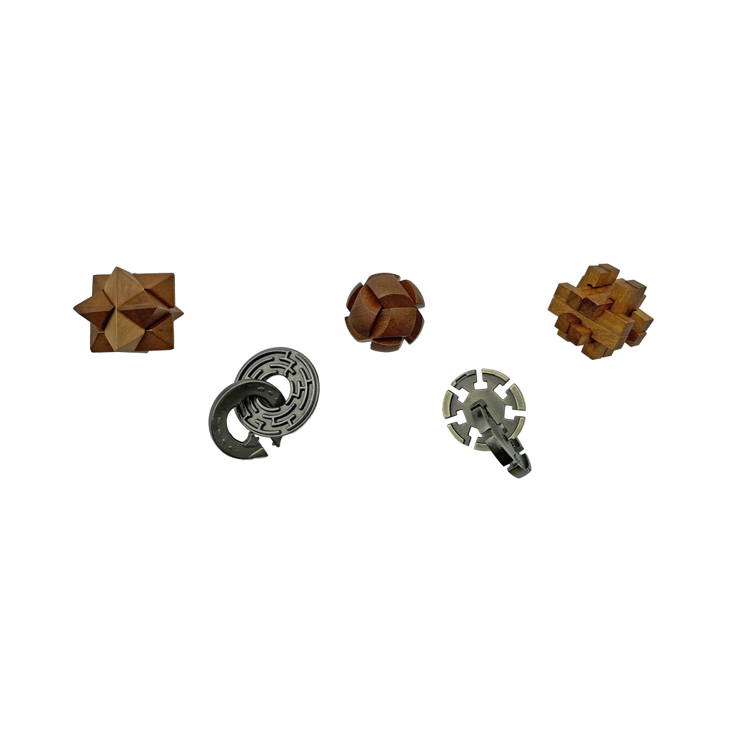 Lost Treasure Collection - 5-Pack of Brainteasers by Project Genius