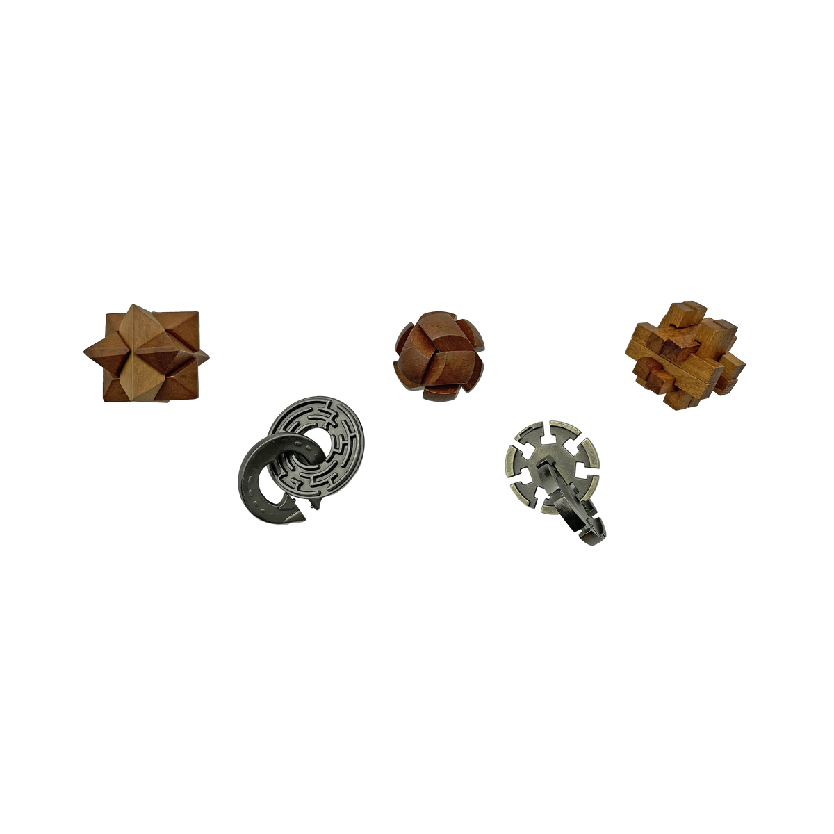 Lost Treasure Collection - 5-Pack of Brainteasers by Project Genius