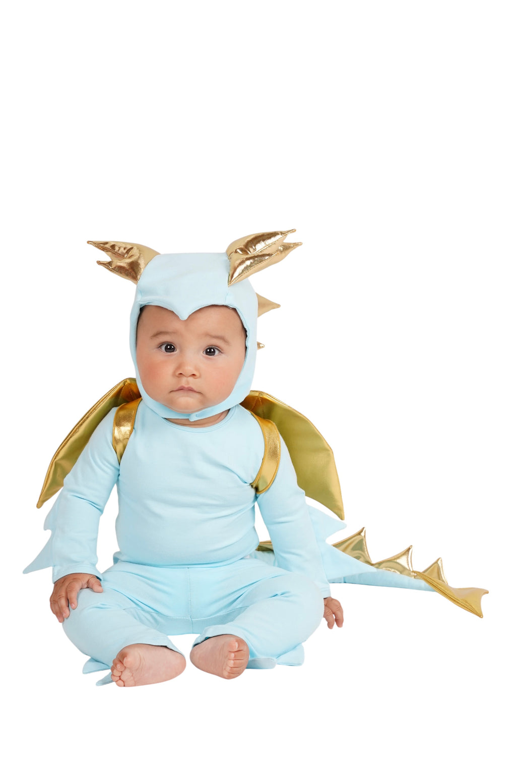 Sky Blue Dragon Halloween Costume by Band of the Wild