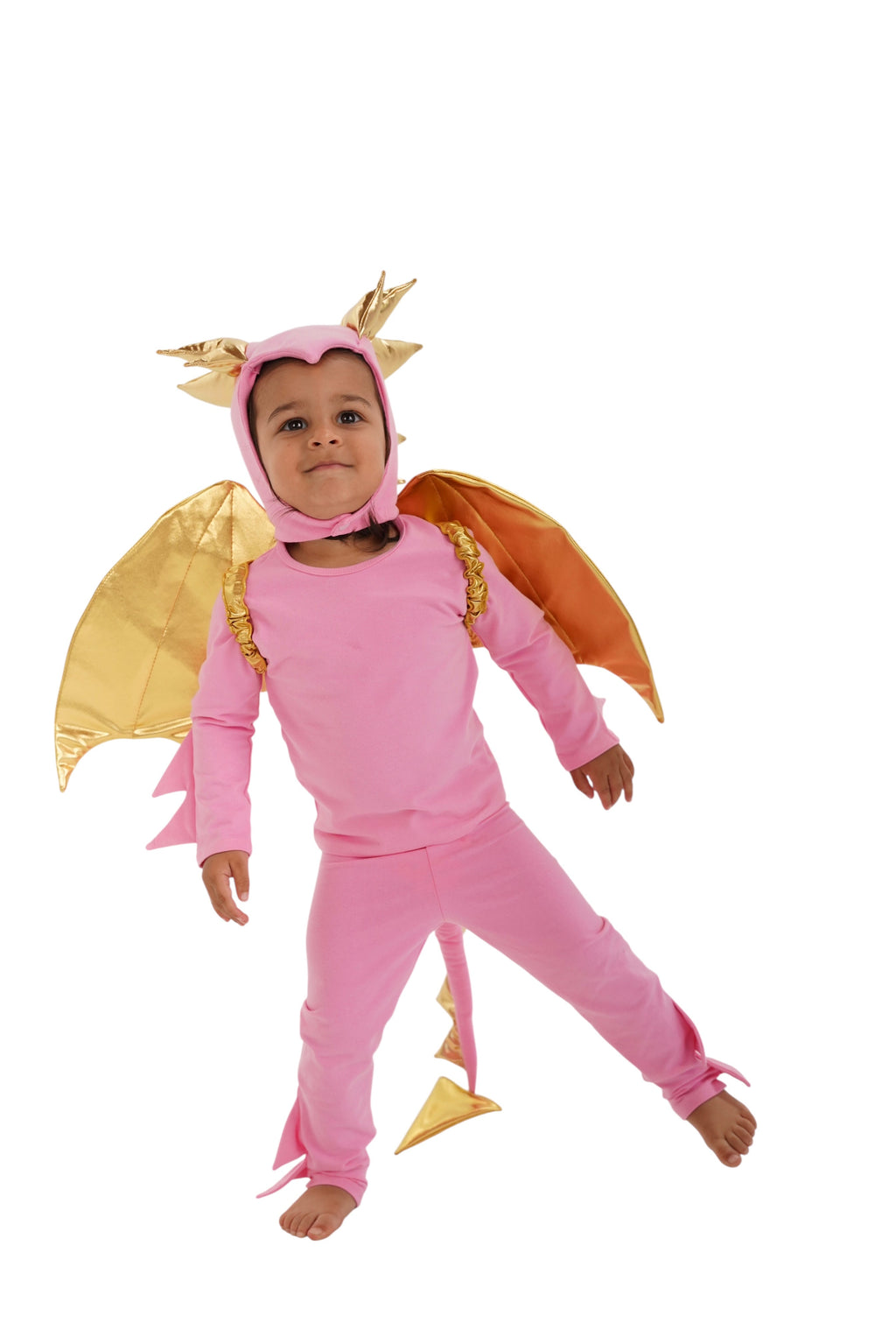 Pink Dragon Halloween Costume by Band of the Wild