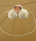 Rubber White Cat Nose on Elastic Band Funny Animal Pet by HalloweenStore.com