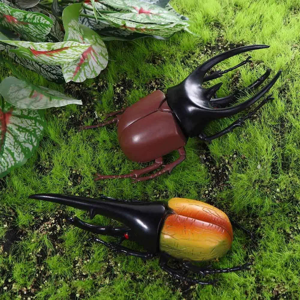 Fake Beetle Joke  Insect  Simulation Animals Special Lifelike Model Insect Model Beetle  Simulation Beetle - Big Tim's Magic Emporium