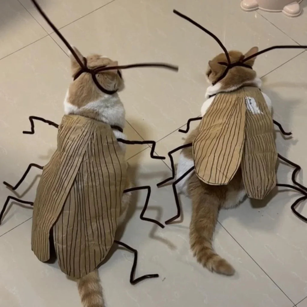 1pack Cat Cockroach Costume Role Play Easy DIY Material Pack Breathable Pet Costume