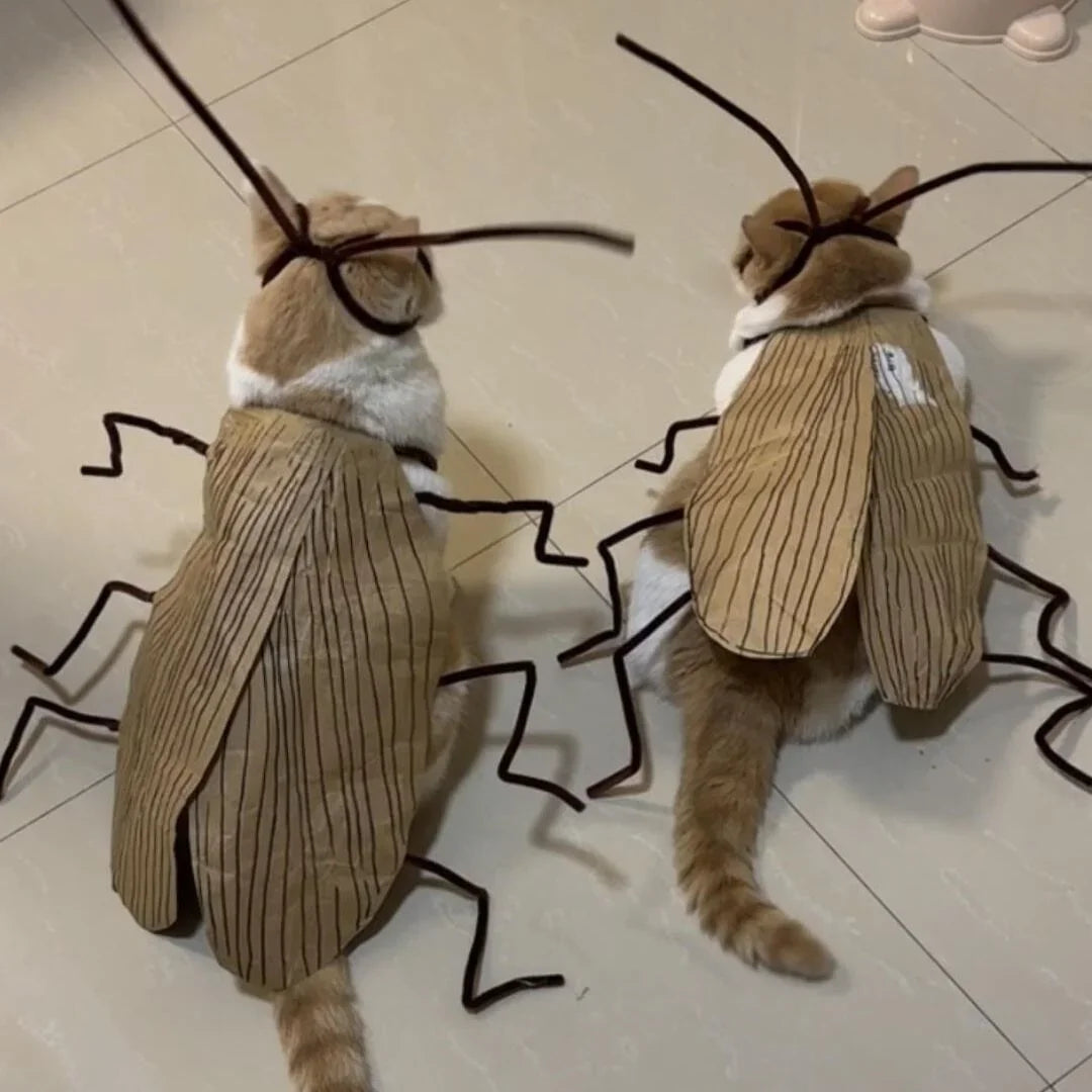 1pack Cat Cockroach Costume Role Play Easy DIY Material Pack Breathable Pet Costume