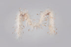 Luxury Ostrich Feather Boa (2 Meters)
